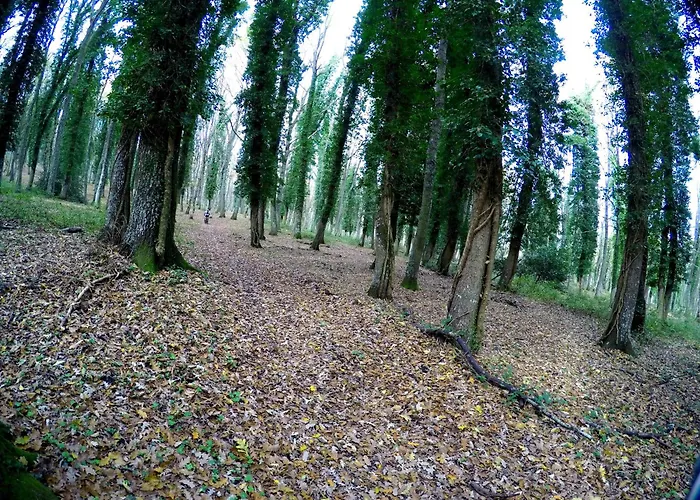 فندق Bike-hotel Abete